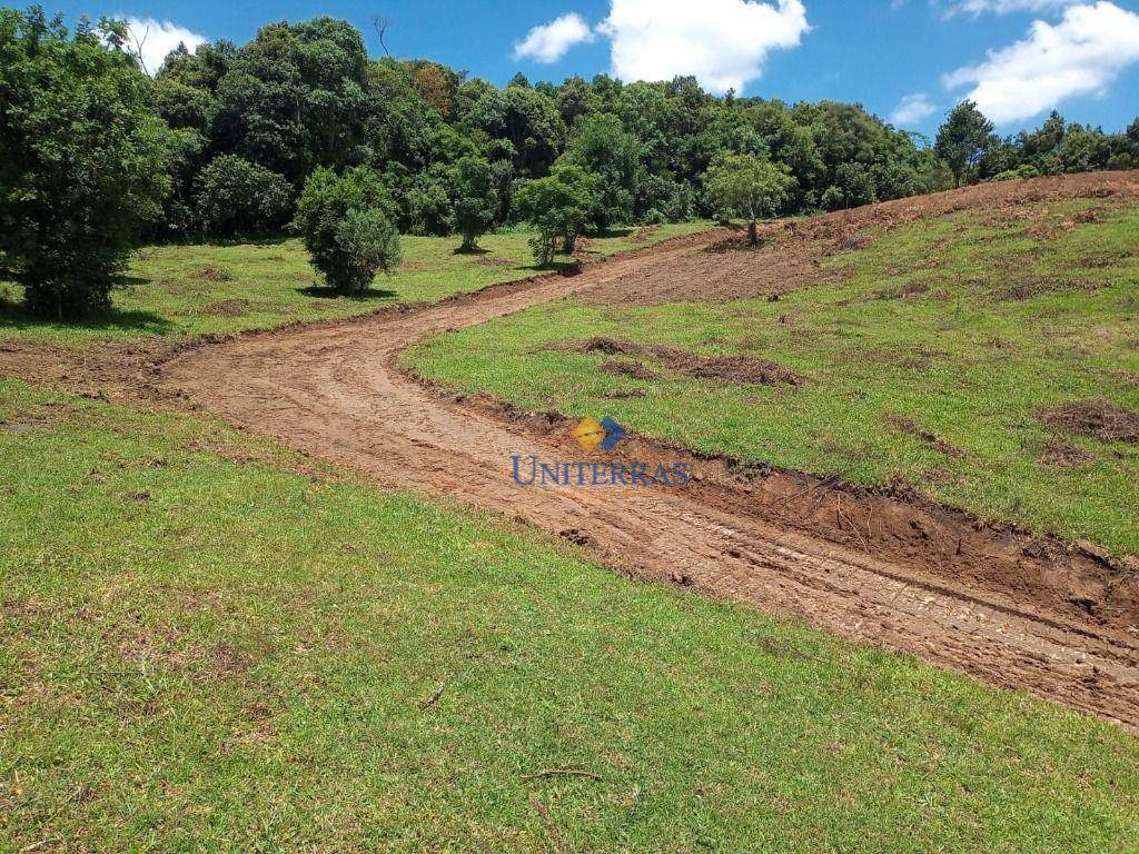 Chácara à venda, 10000M2 - Foto 2