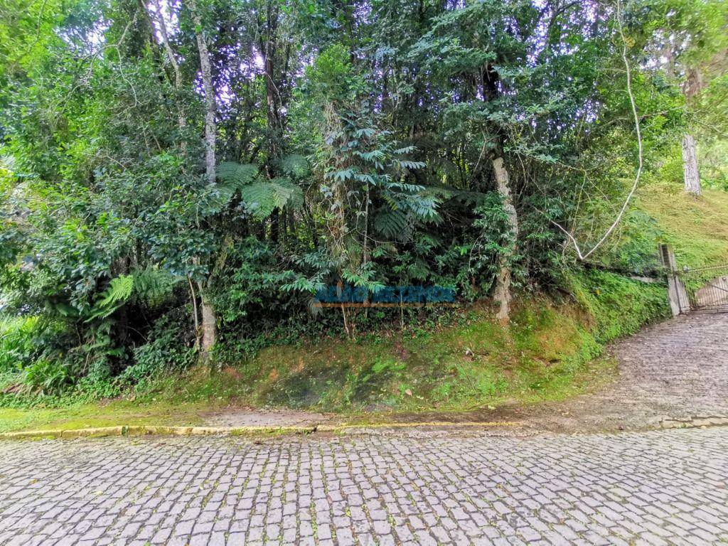Loteamento e Condomínio à venda, 1017M2 - Foto 2