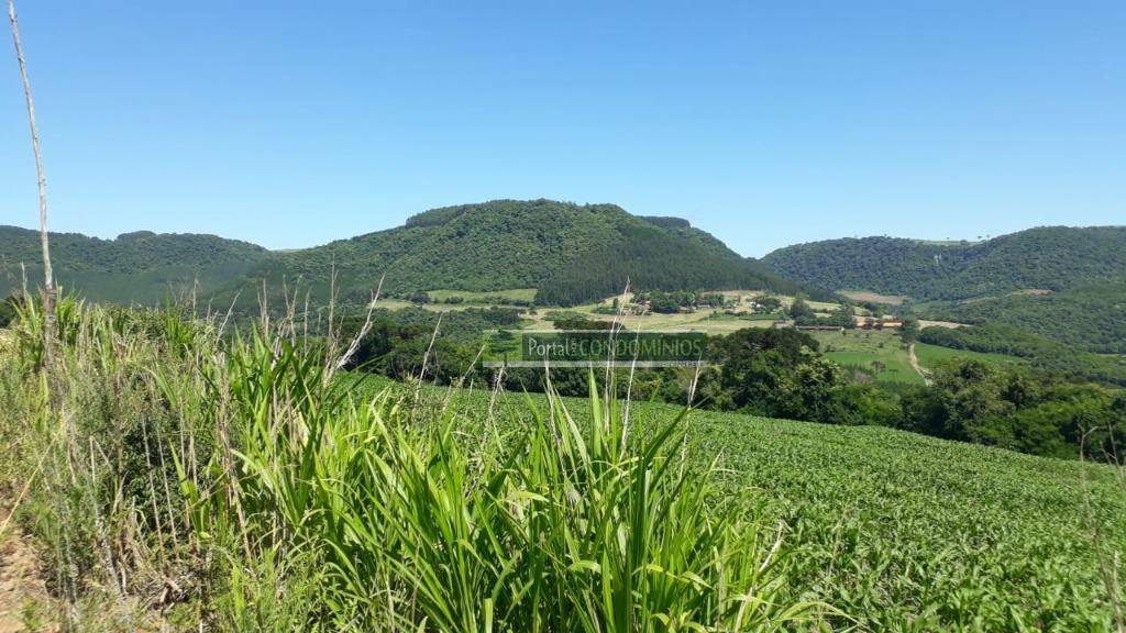 Terreno à venda, 82160M2 - Foto 4