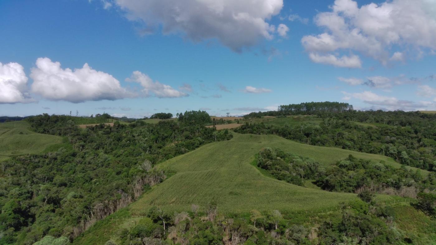 Fazenda à venda com 2 quartos, 925500m² - Foto 6