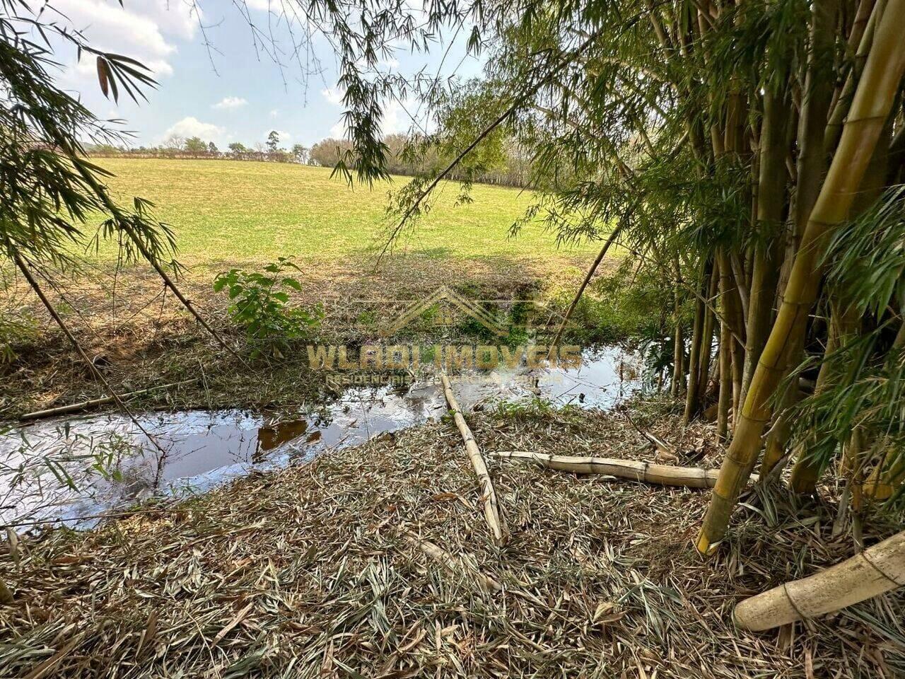 Fazenda à venda com 3 quartos, 14m² - Foto 12