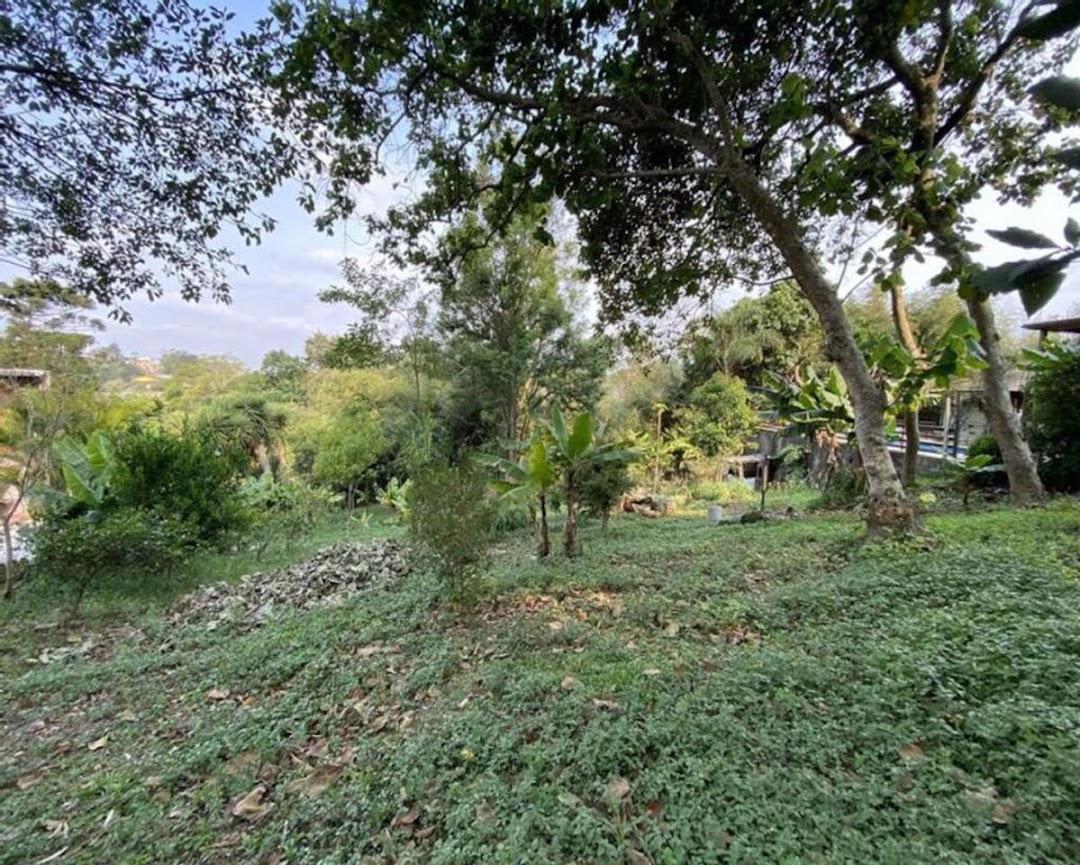 Terreno à venda - Foto 3