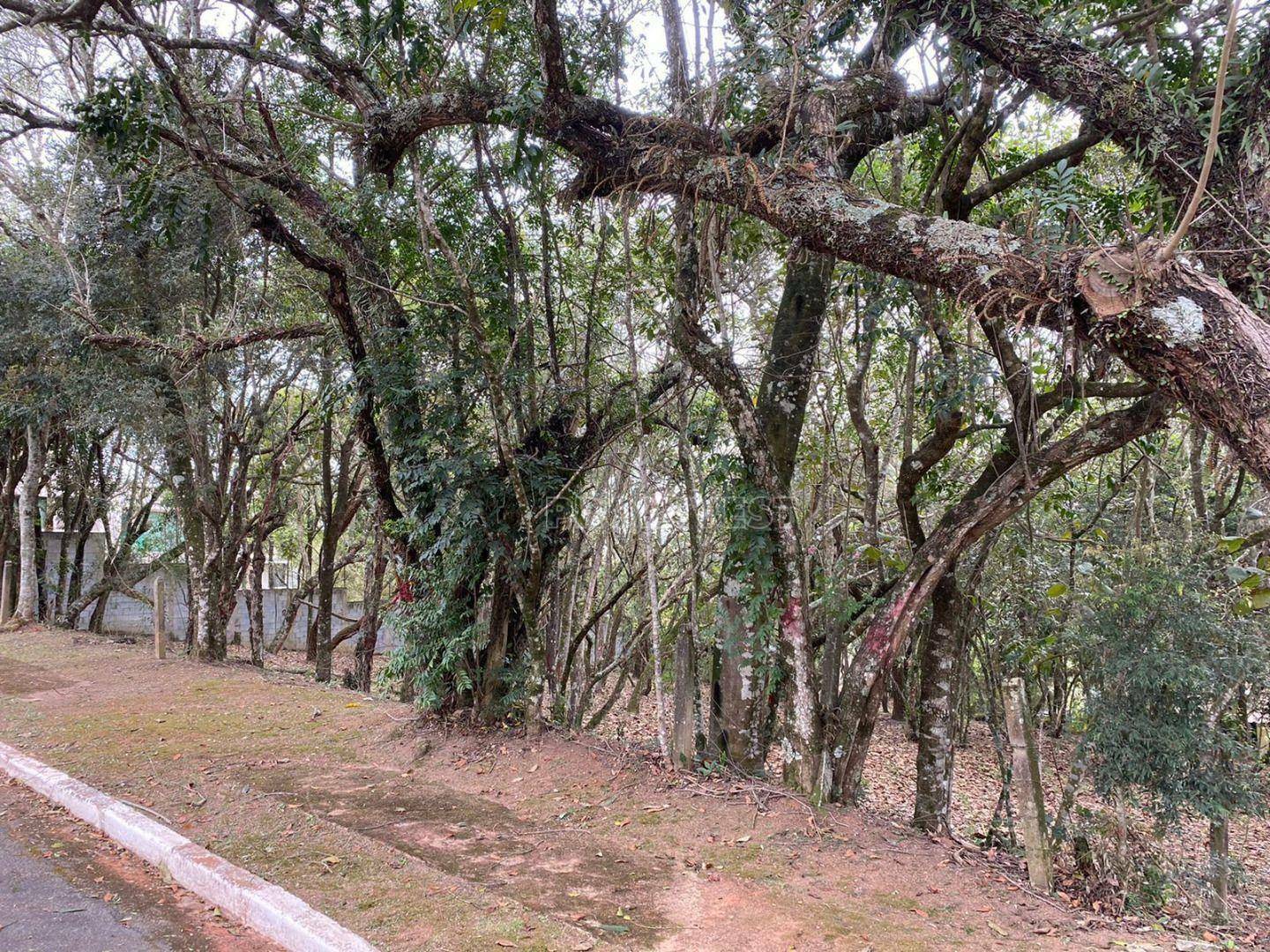 Loteamento e Condomínio à venda, 1575M2 - Foto 6