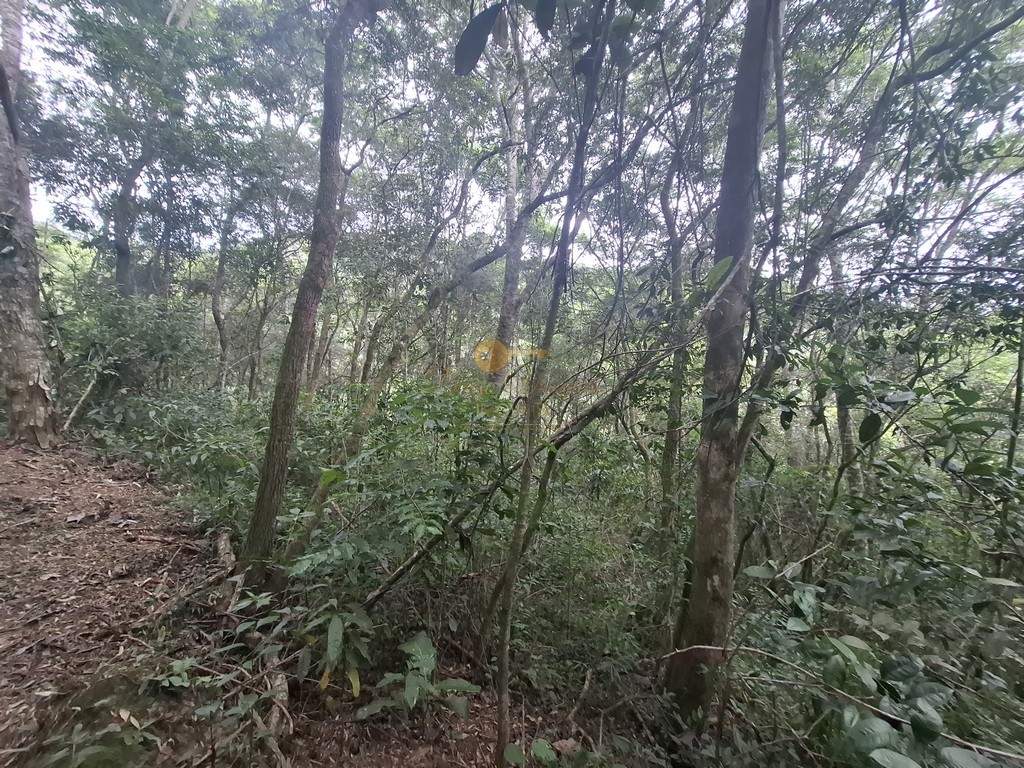 Terreno à venda, 216036m² - Foto 13