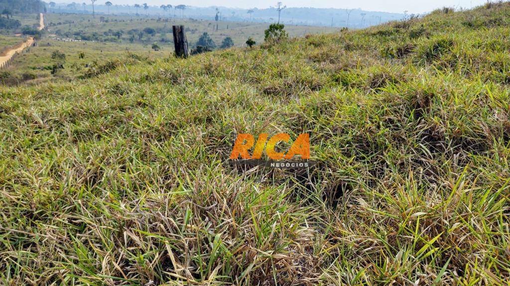 Fazenda à venda com 2 quartos, 39370000M2 - Foto 19