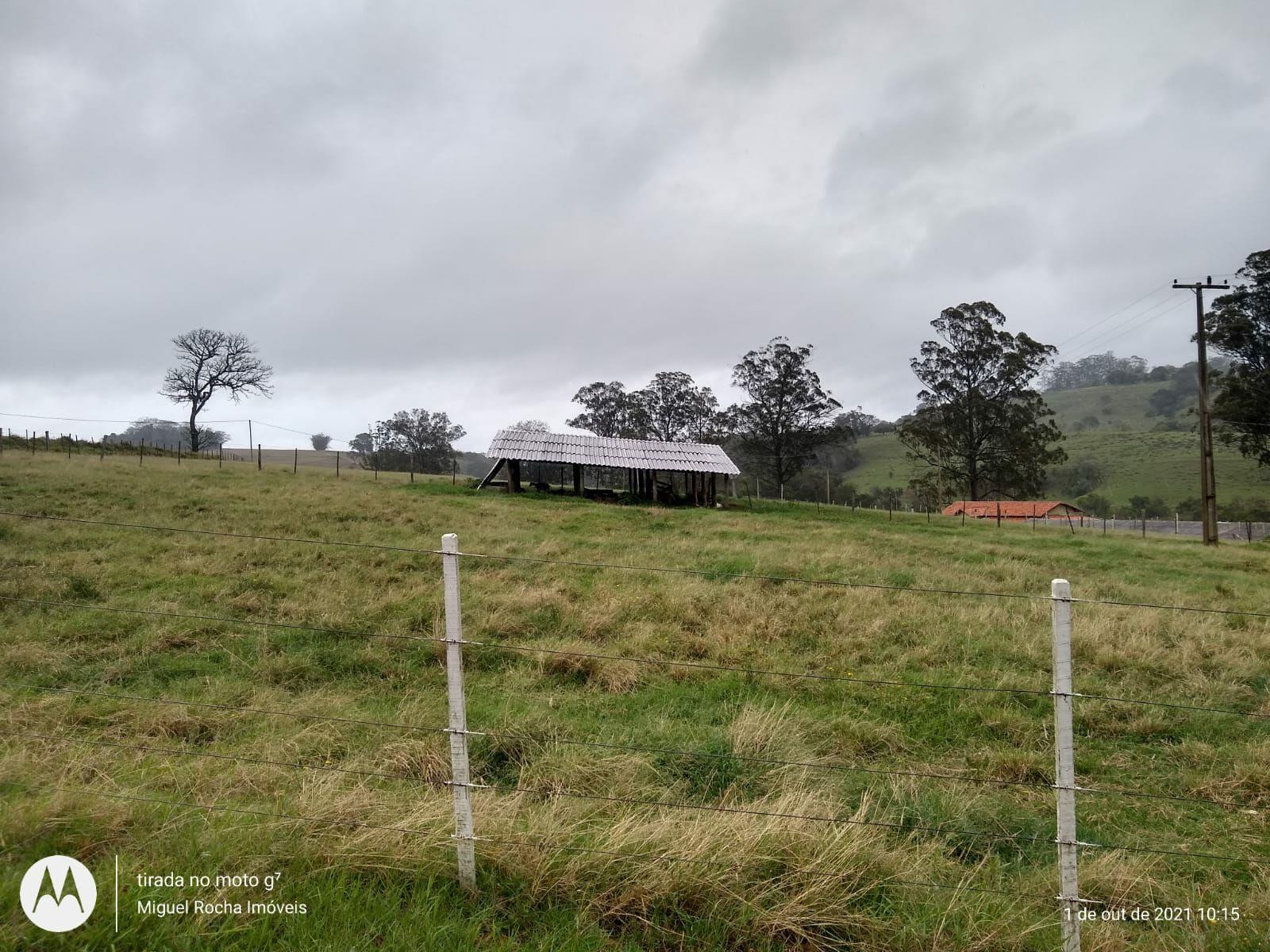 Fazenda à venda com 8 quartos, 3146000m² - Foto 33