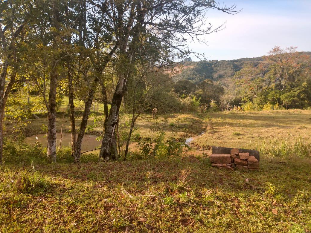 Sítio à venda com 1 quarto, 6000m² - Foto 16