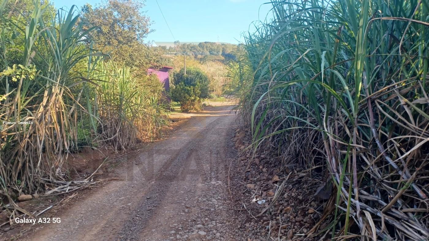 Chácara à venda com 4 quartos, 7300m² - Foto 14