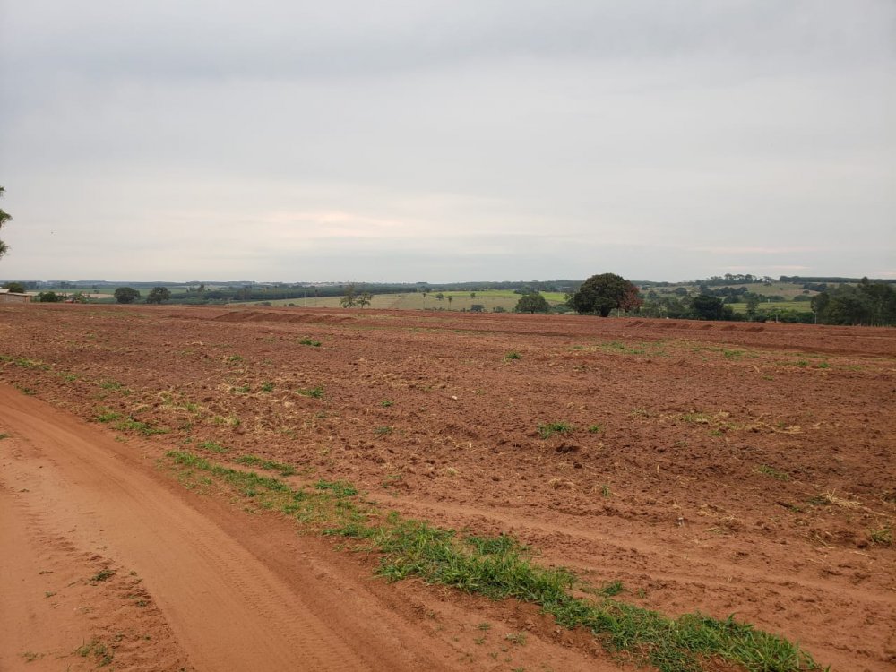 Fazenda, 53 hectares - Foto 11