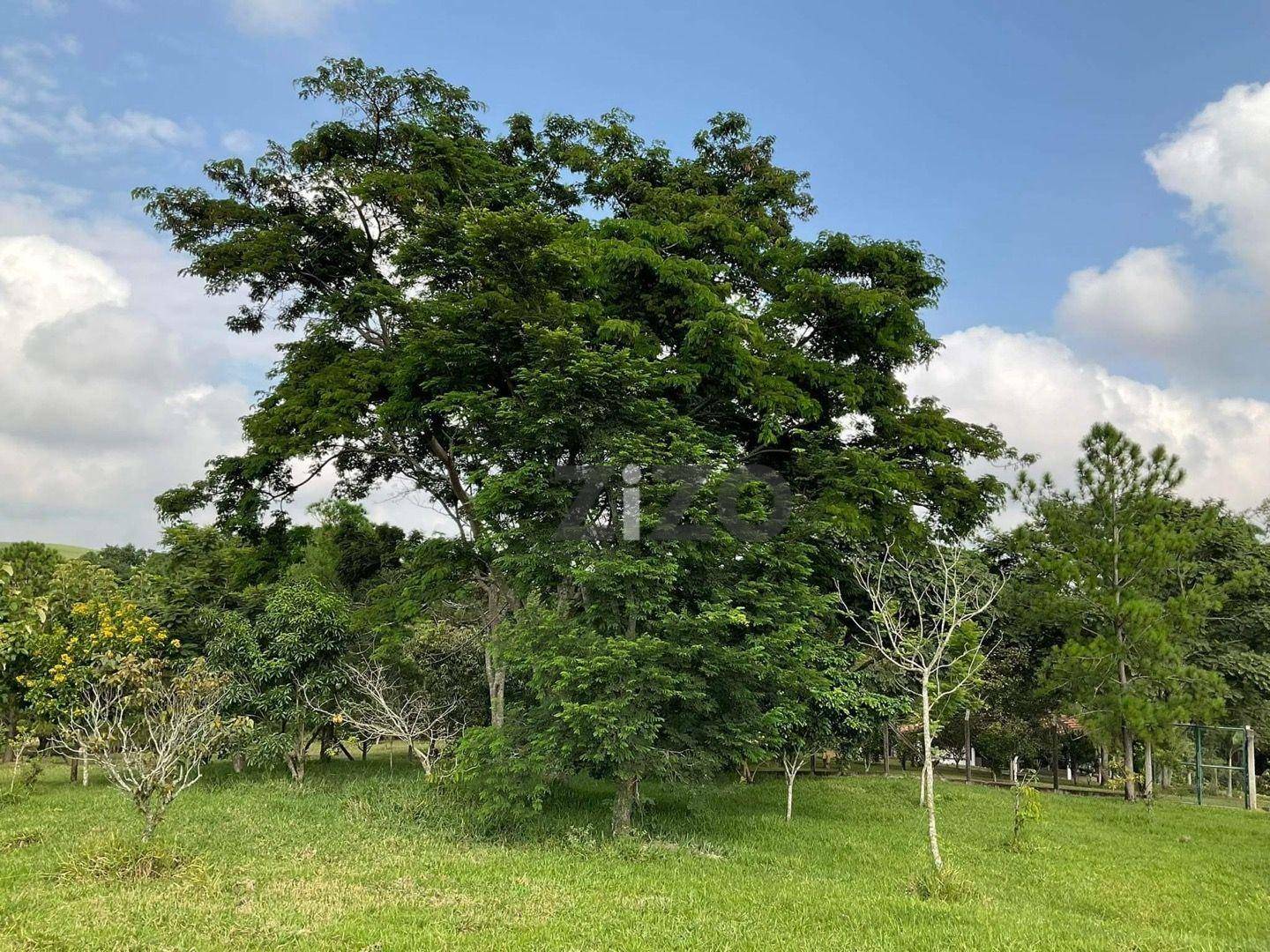 Terreno à venda, 5040M2 - Foto 9