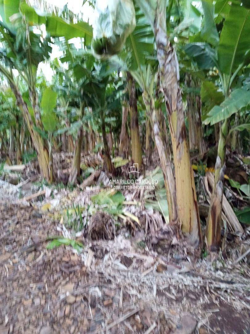 Chácara à venda com 3 quartos, 25000M2 - Foto 24