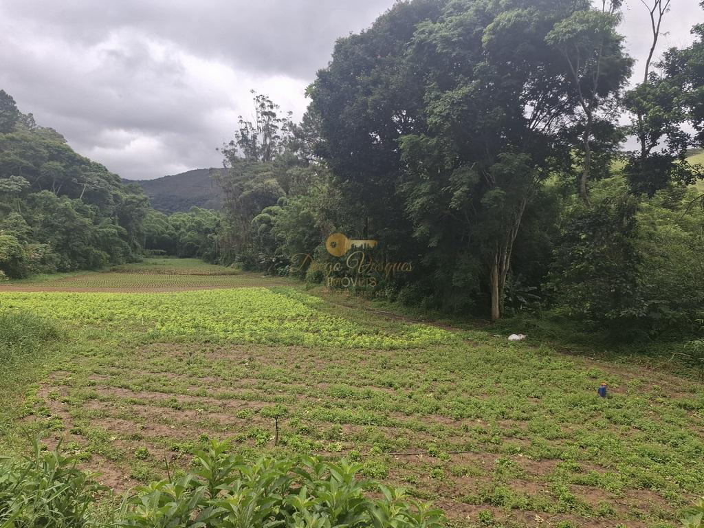 Sítio à venda com 5 quartos, 96800m² - Foto 45