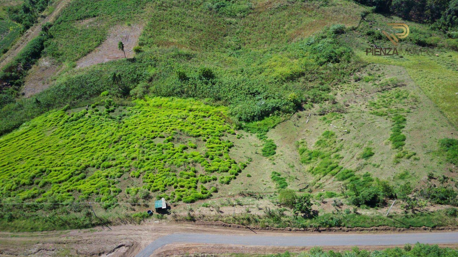 Terreno à venda, 3500M2 - Foto 4