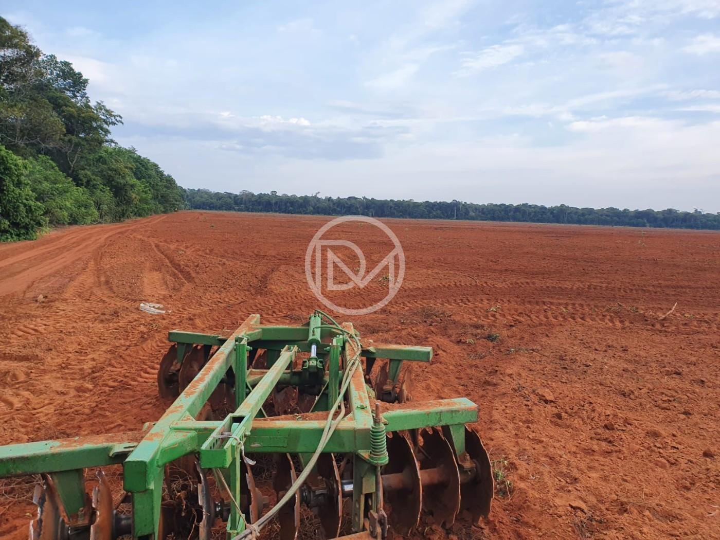 Fazenda, 2500 m² - Foto 1