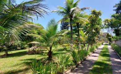 Fazenda à venda com 3 quartos, 8000m² - Foto 17