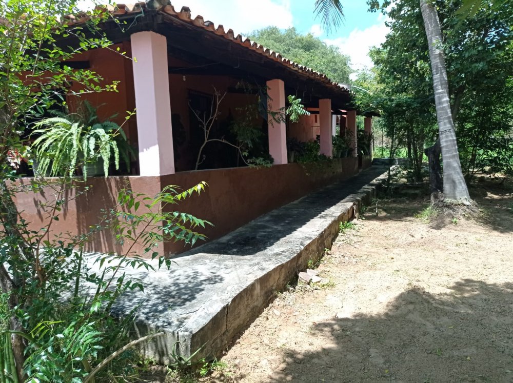 Fazenda à venda, 70m² - Foto 4