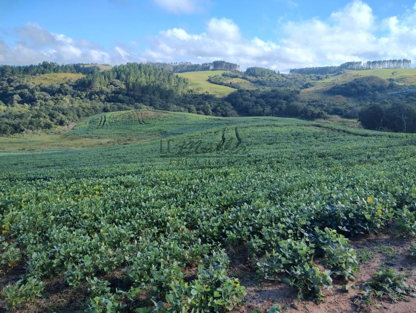 Fazenda à venda, 677m² - Foto 10