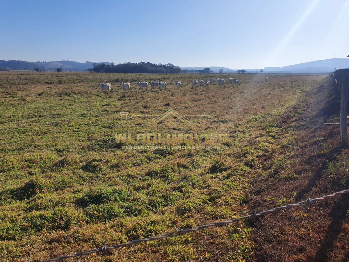 Fazenda à venda, 175m² - Foto 12