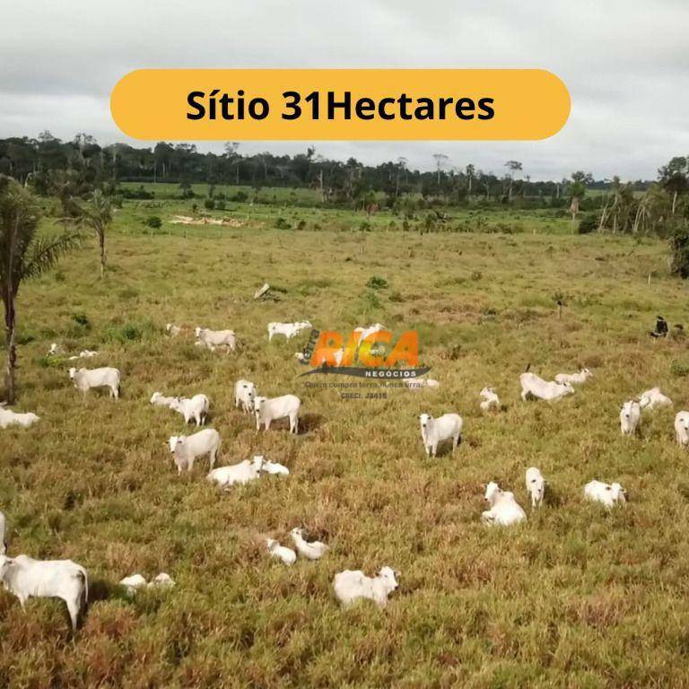 Sítio, 31 hectares - Foto 1