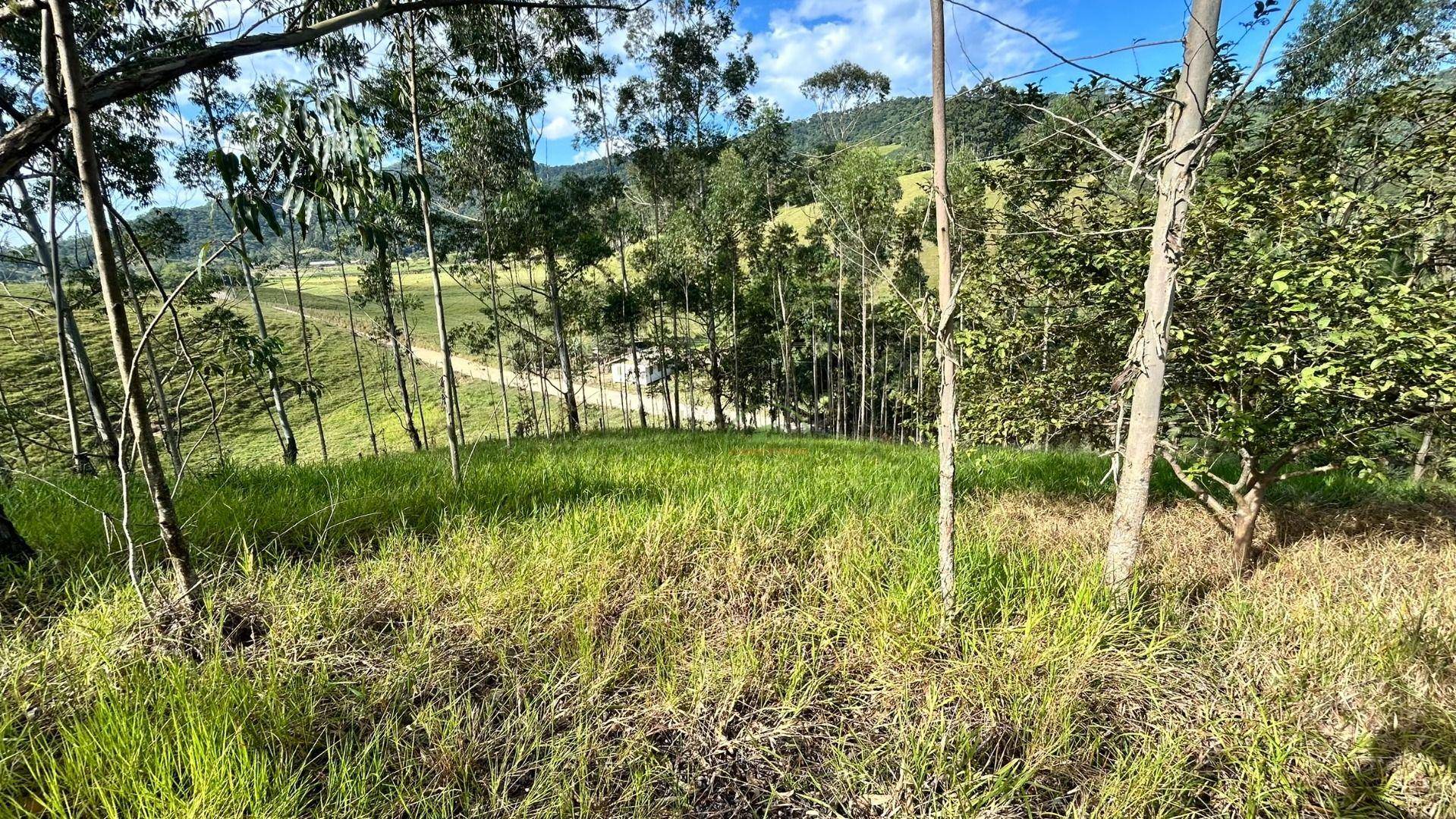 Sítio, 3 hectares - Foto 47