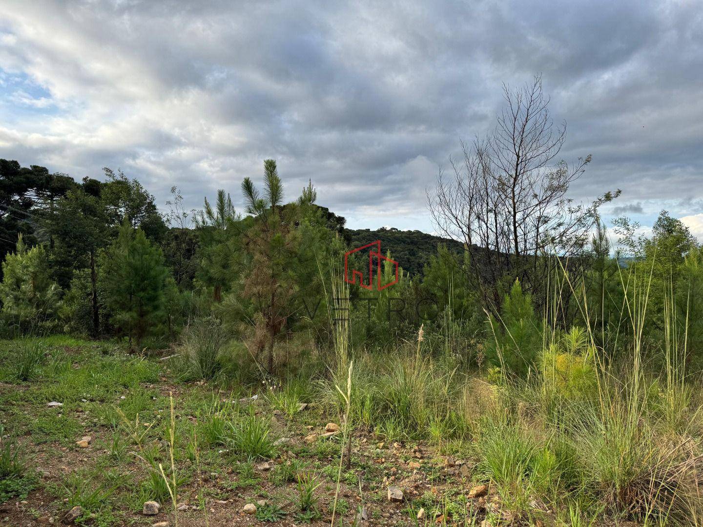 Loteamento e Condomínio, 450 m² - Foto 4