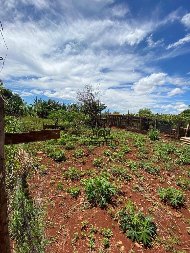 Chácara à venda com 5 quartos, 1300M2 - Foto 15