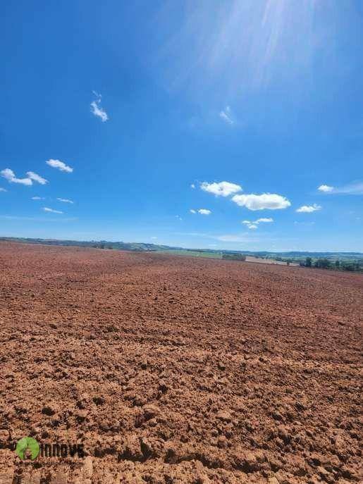 Sítio, 37 hectares - Foto 1