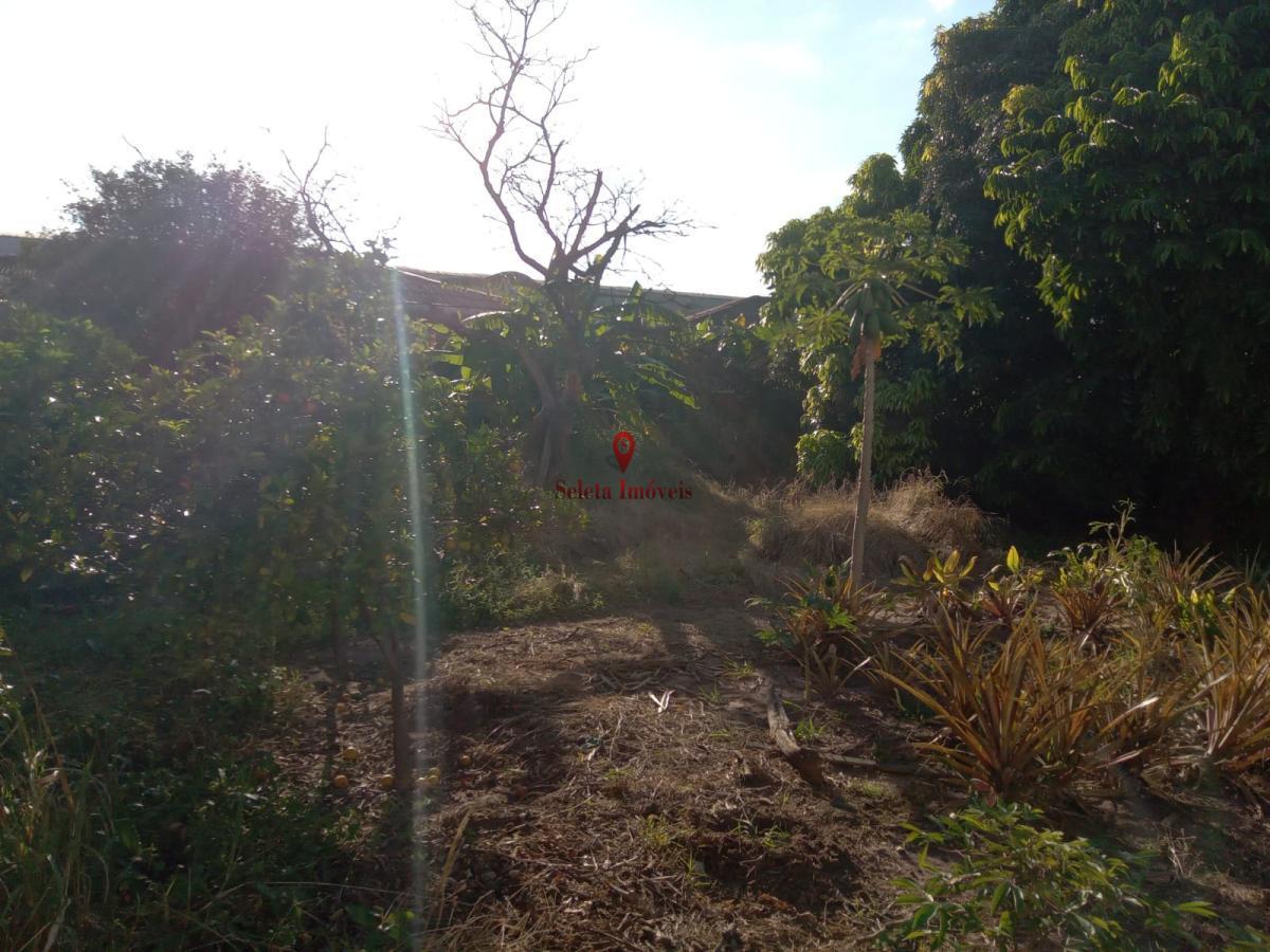 Terreno à venda com 1 quarto, 1890m² - Foto 20