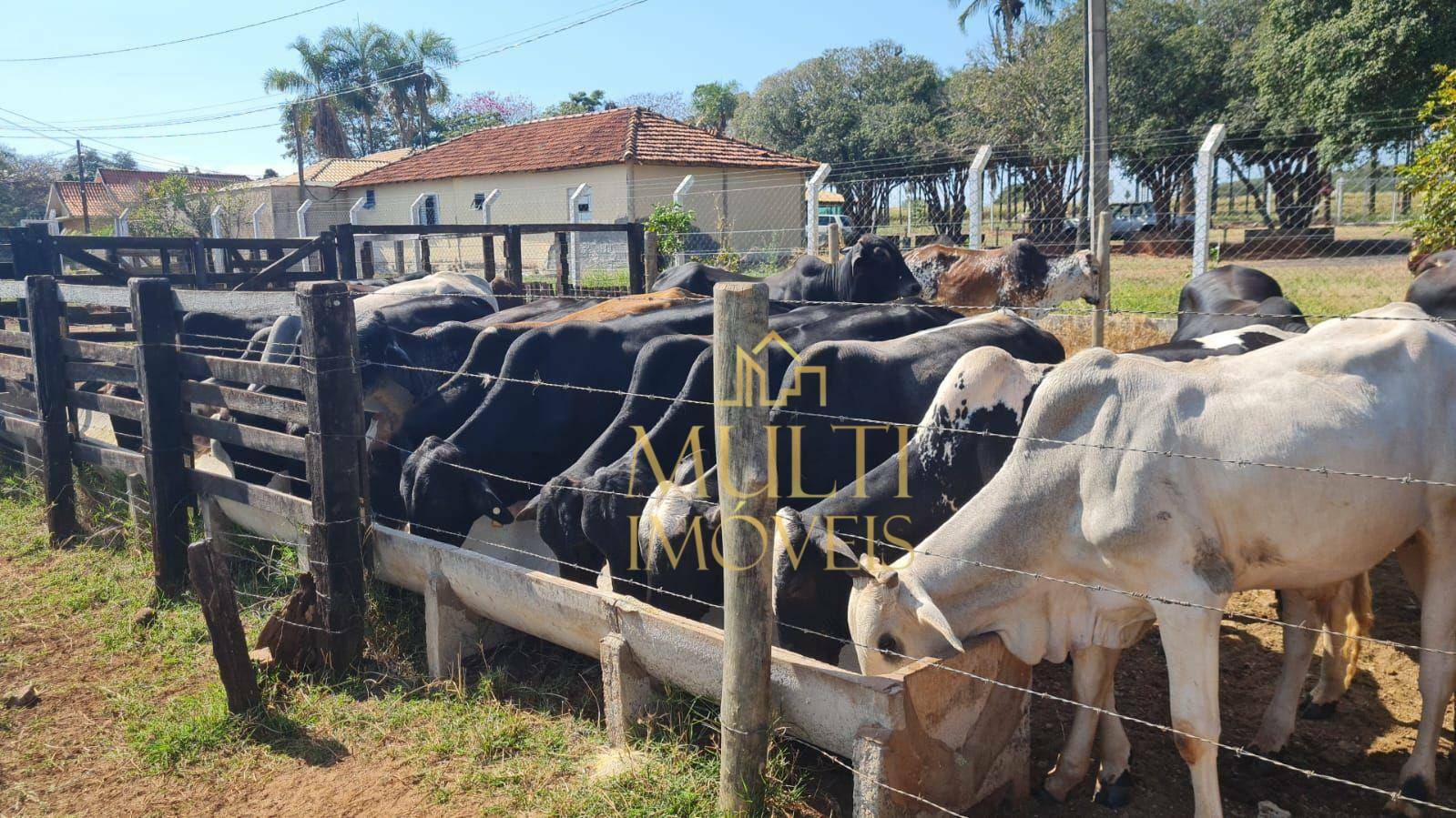 Sítio à venda com 3 quartos, 384538M2 - Foto 17