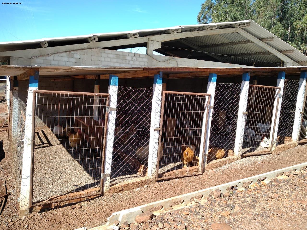 Fazenda para alugar com 3 quartos, 20000m² - Foto 32