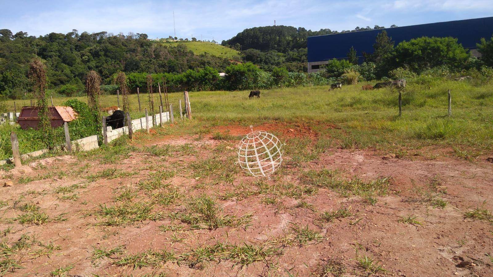 Terreno à venda, 4400M2 - Foto 3