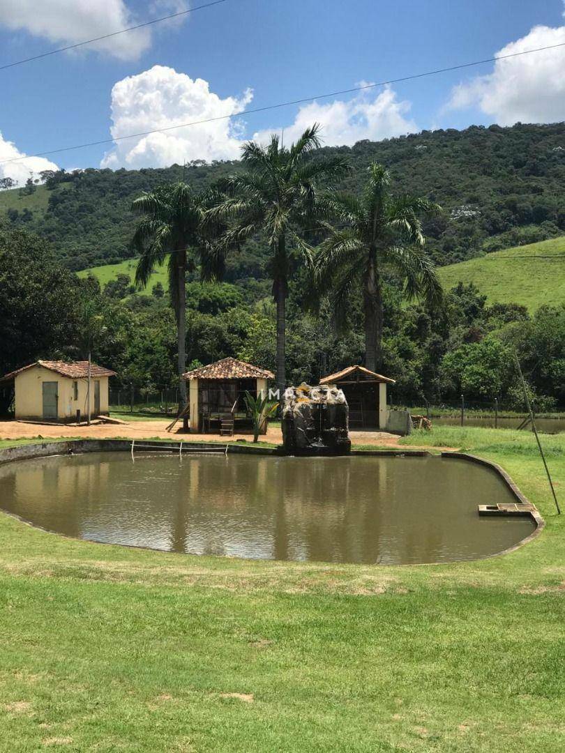 Fazenda à venda com 5 quartos, 450m² - Foto 70