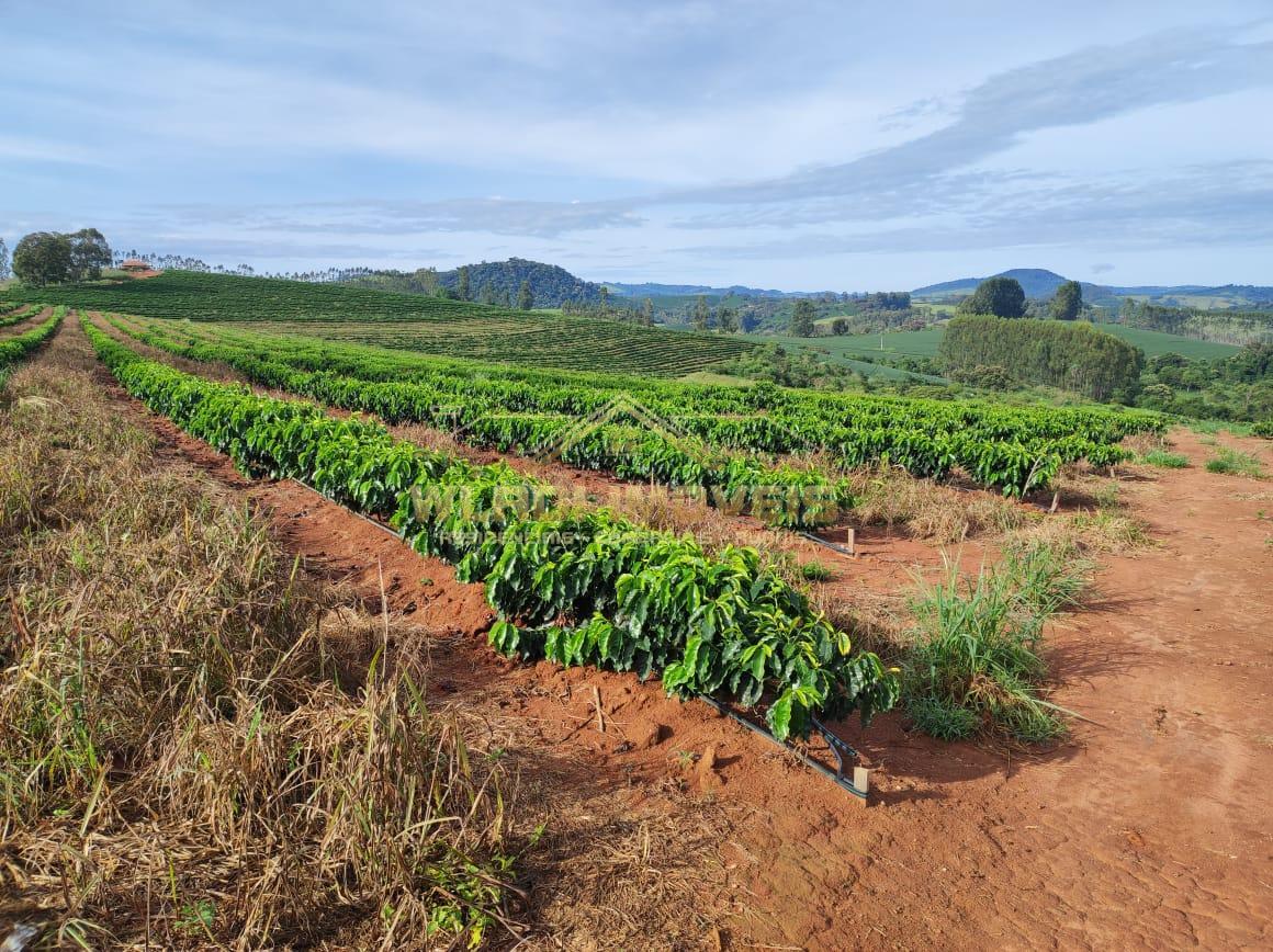 Fazenda à venda, 300m² - Foto 28