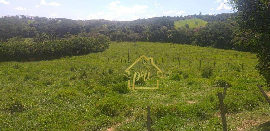 Fazenda à venda com 5 quartos, 1500m² - Foto 33