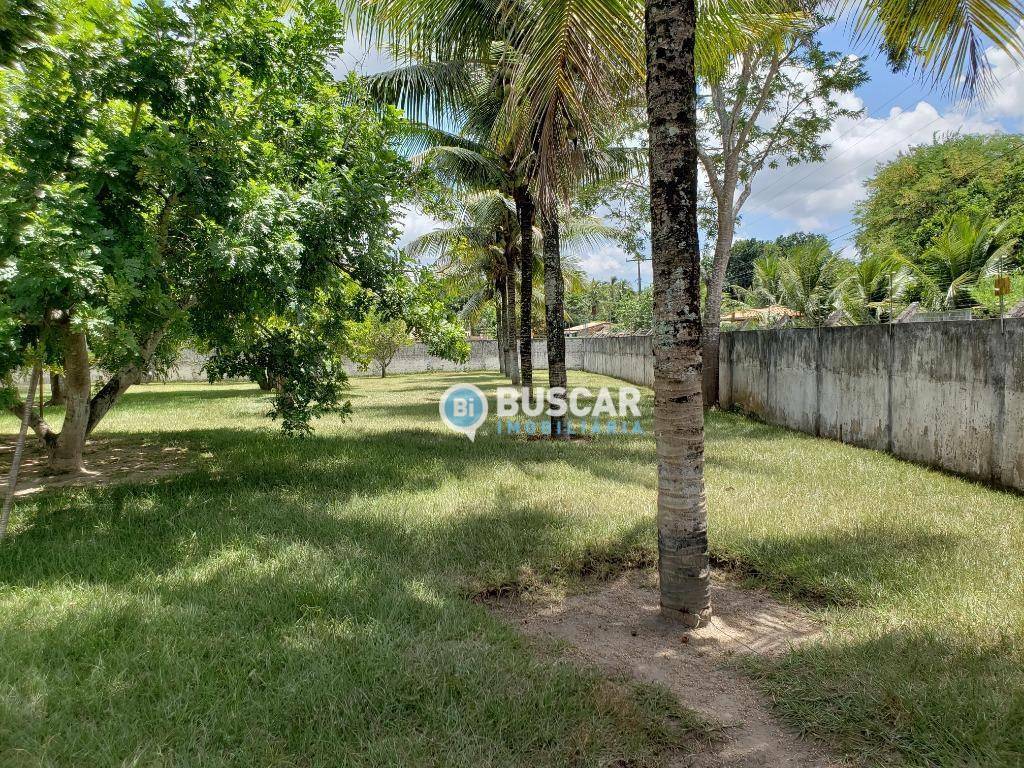 Sítio à venda com 3 quartos, 200m² - Foto 4