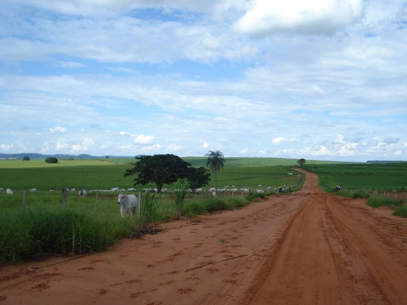 Fazenda-Sítio-Chácara, 2044 hectares - Foto 5