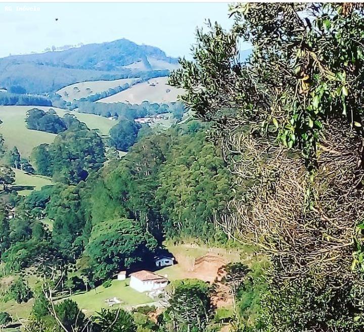 Sítio, 7 quartos, 77 hectares - Foto 10