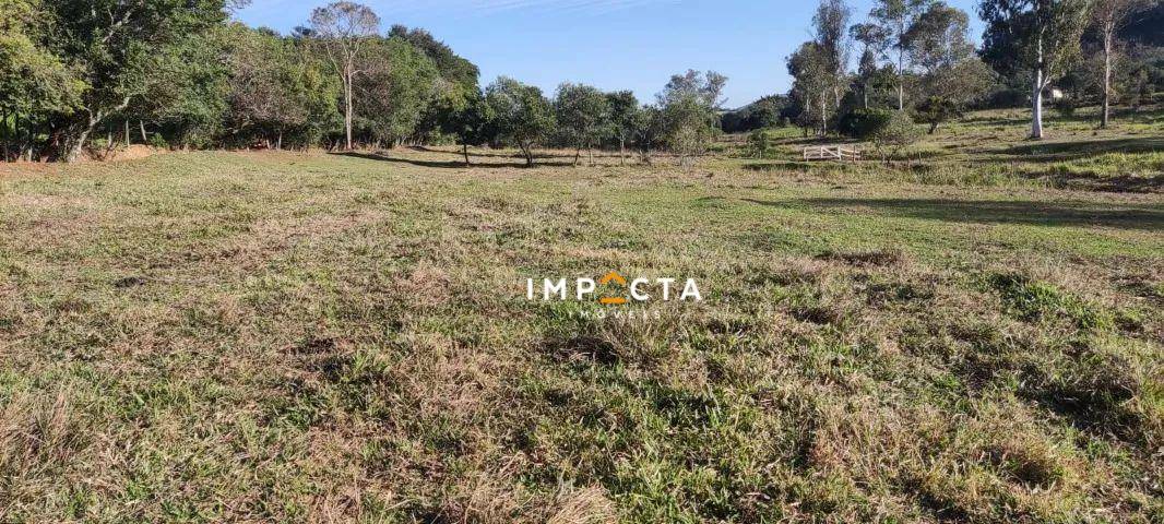 Sítio à venda com 2 quartos, 60500M2 - Foto 11