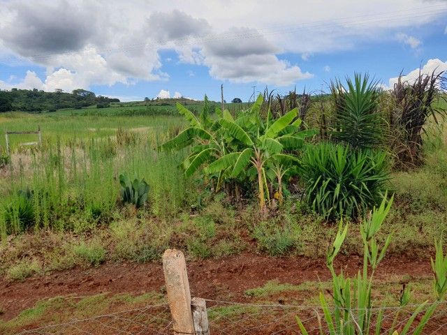 Chácara à venda com 3 quartos, 30000M2 - Foto 6