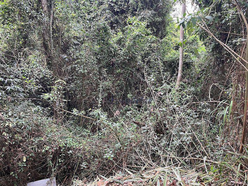 Loteamento e Condomínio à venda, 1459M2 - Foto 6