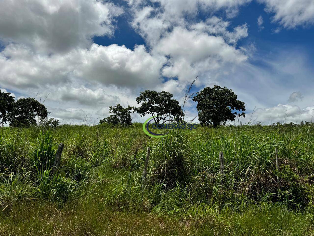 Fazenda à venda com 3 quartos, 19360000M2 - Foto 22