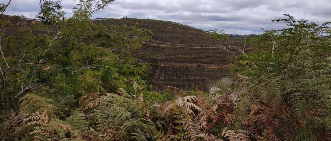 Fazenda à venda, 1452000M2 - Foto 36