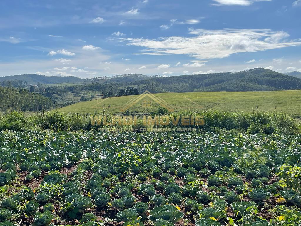 Fazenda à venda, 85m² - Foto 13