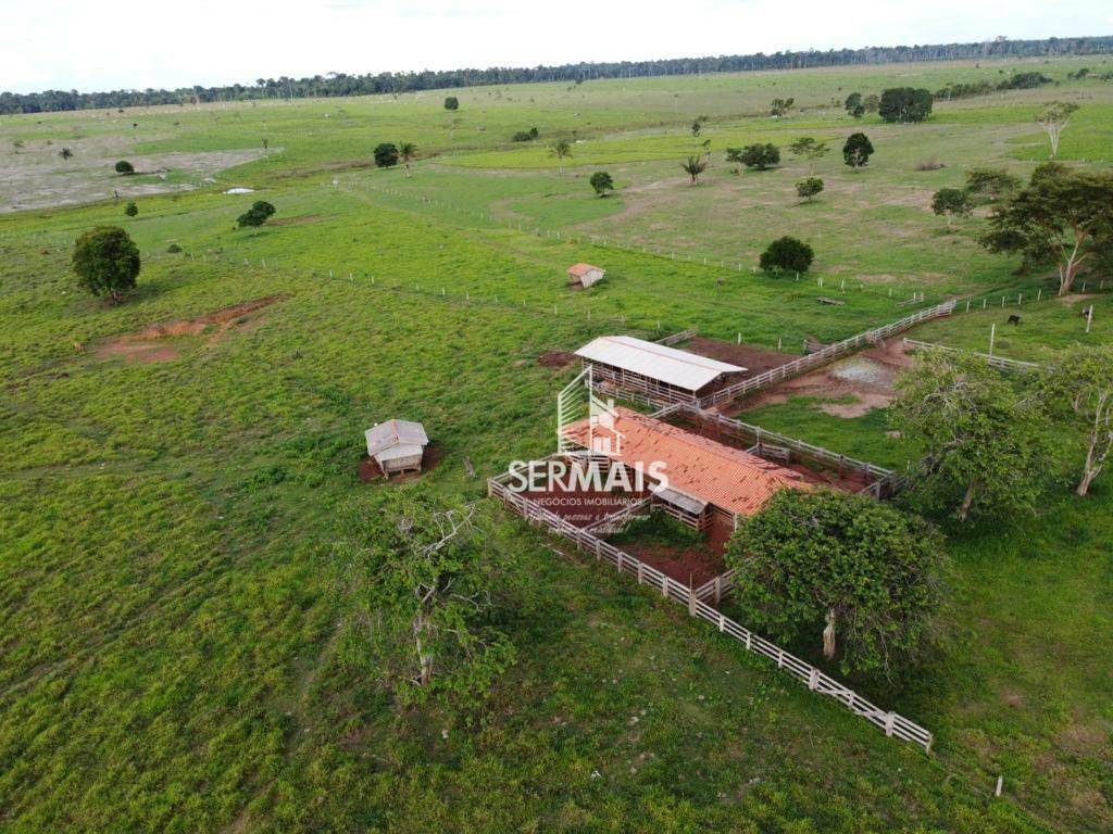 Fazenda-Sítio-Chácara, 305 hectares - Foto 2