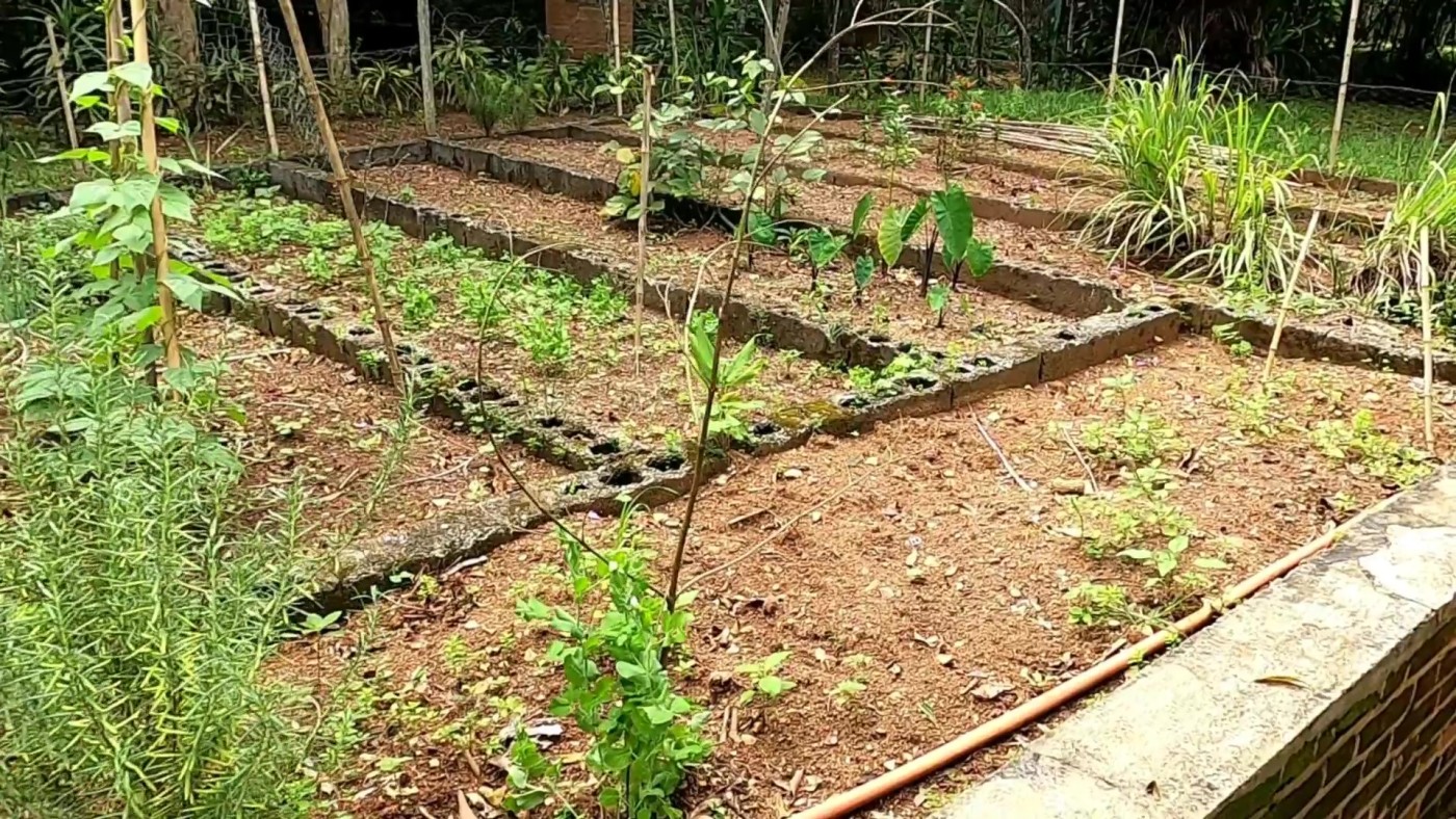 Casa de Condomínio à venda com 4 quartos, 9000m² - Foto 41