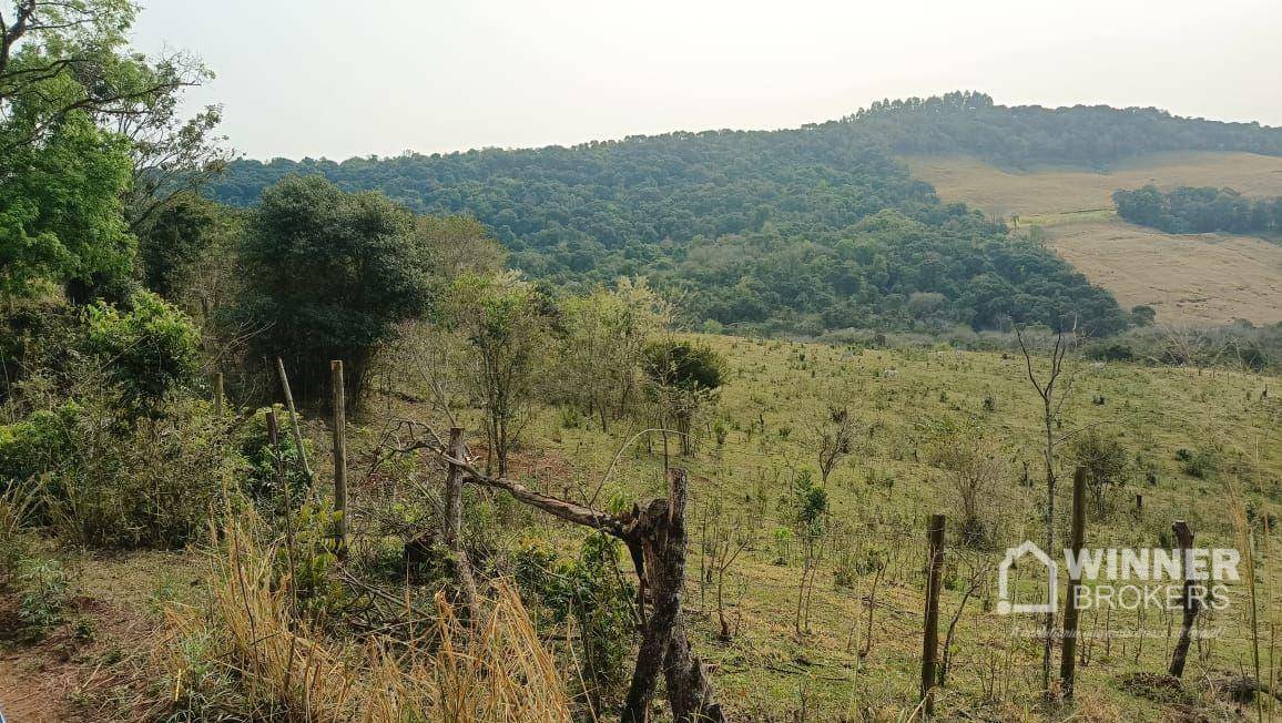 Sítio à venda com 4 quartos, 344850M2 - Foto 12