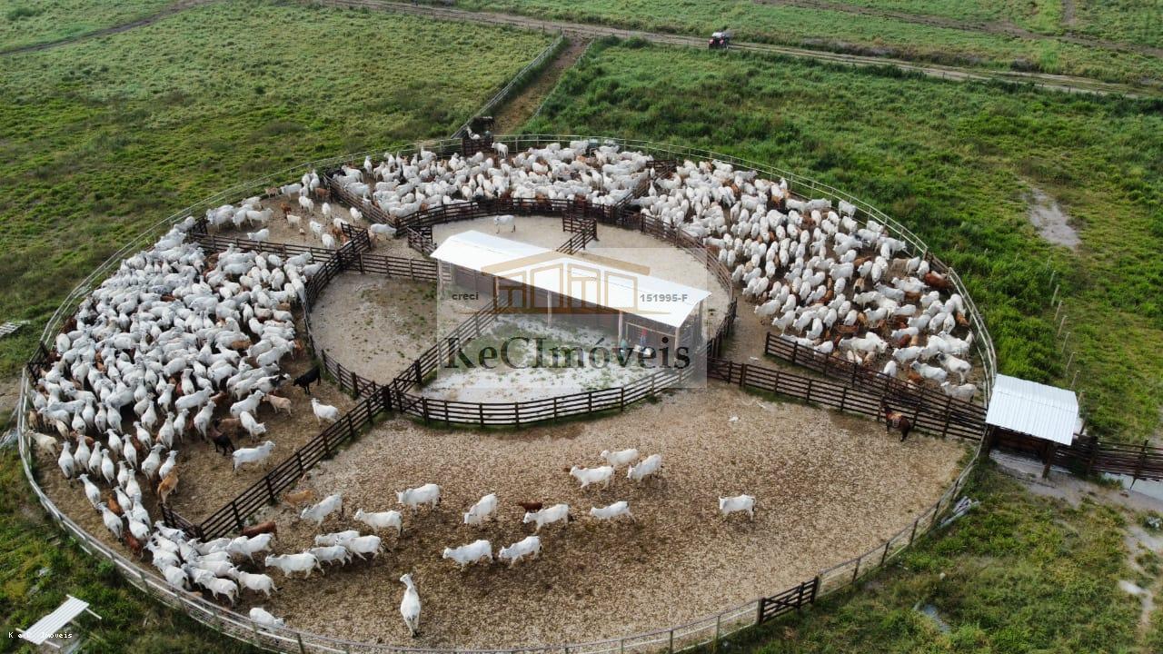 Fazenda à venda, 4235000m² - Foto 7