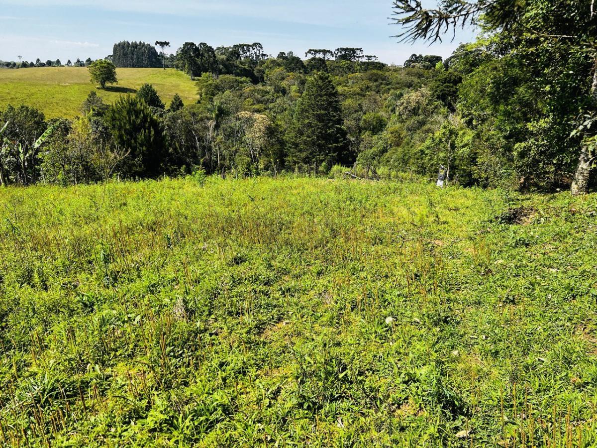 Fazenda à venda, 6300m² - Foto 38