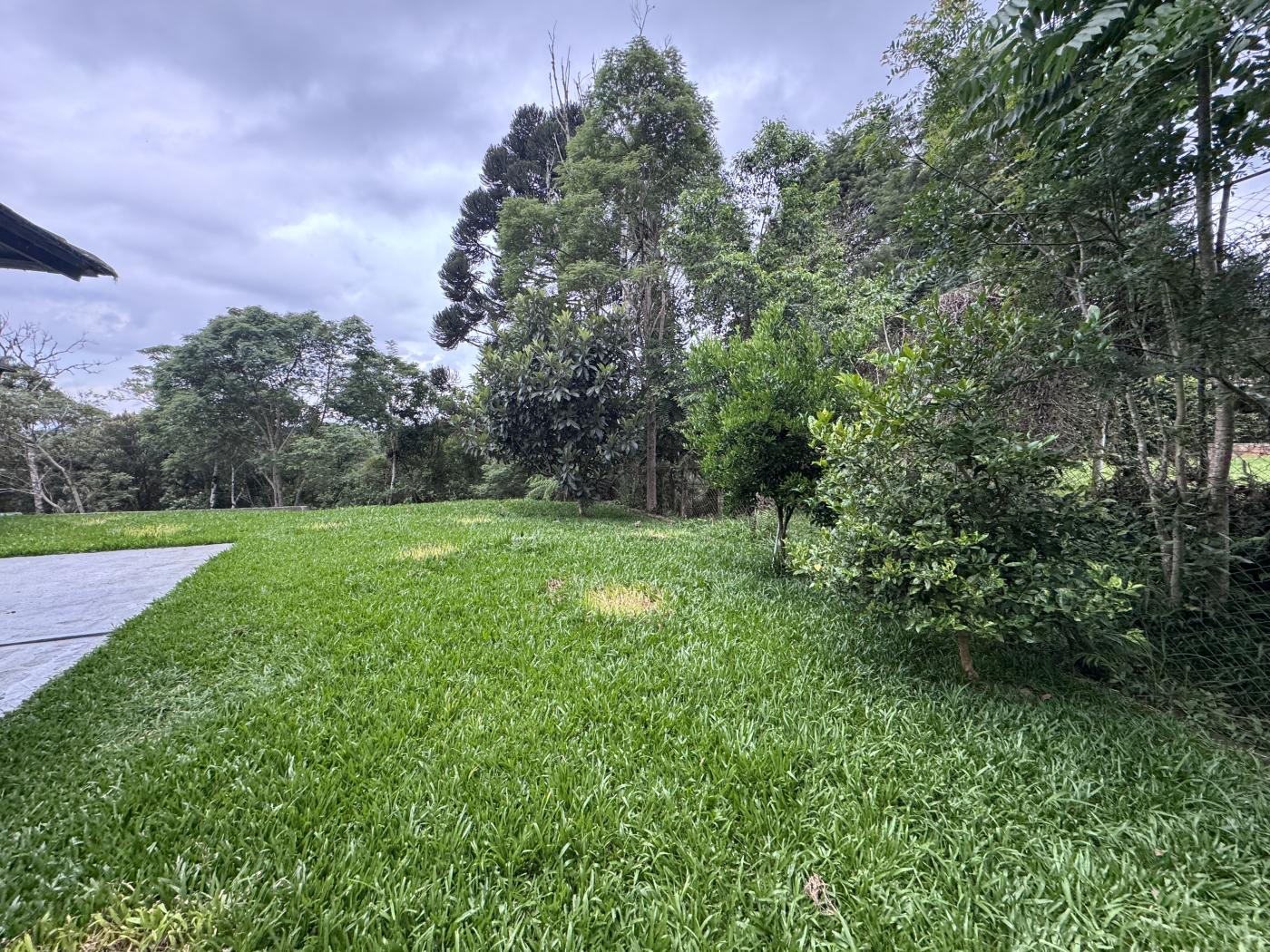 Chácara à venda com 4 quartos, 15000m² - Foto 43