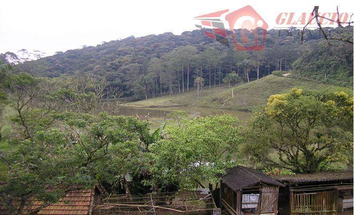 Sítio à venda com 4 quartos, 75661m² - Foto 19